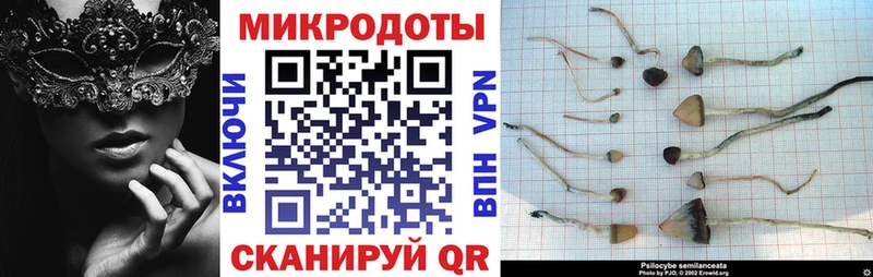 Псилоцибиновые грибы мухоморы  Купить закладки  Яхрома 